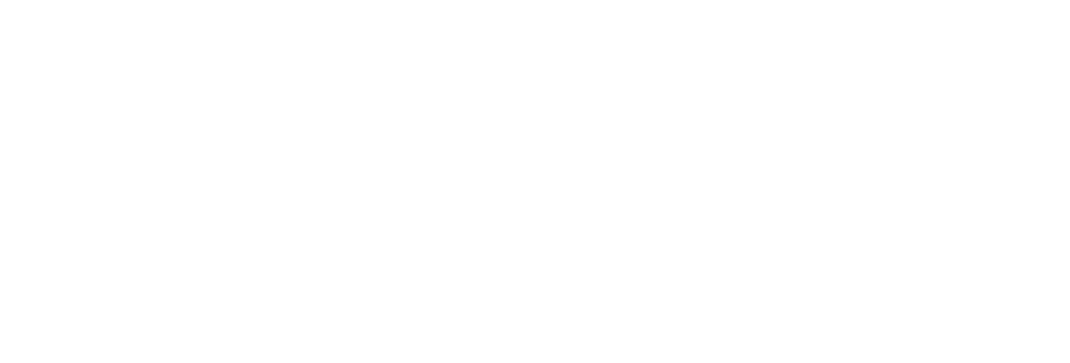 Lien Foundation logo